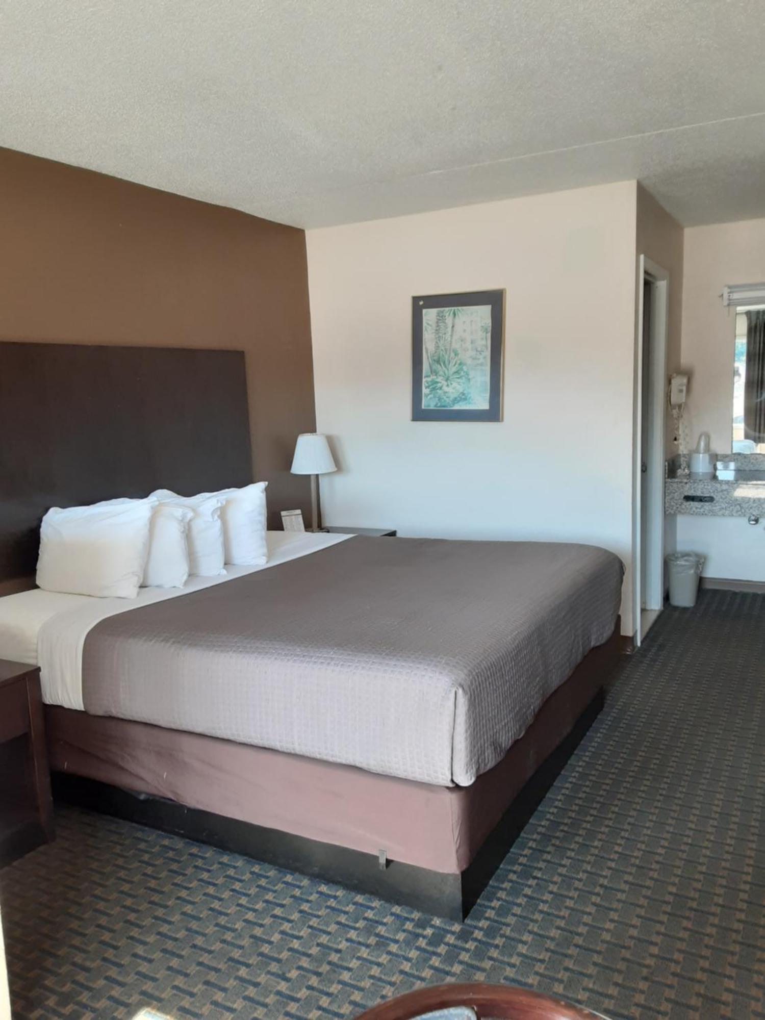 Rodeway Inn & Suites Wilmington North Værelse billede